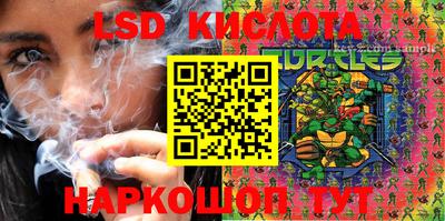 дживик Гай