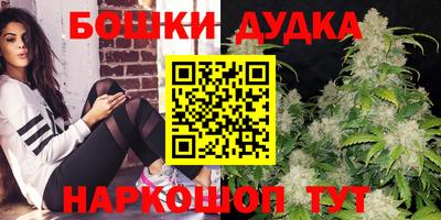 МДПВ Гагарин