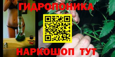 дживик Гай
