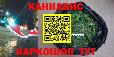 МДПВ Гагарин